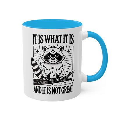 It Is What It Is And It Is Not Great With Adorable Raccoon - 11oz Colorful Mug