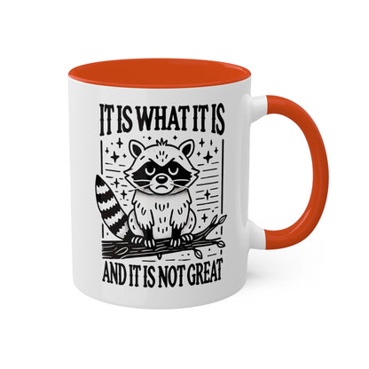 It Is What It Is And It Is Not Great With Adorable Raccoon - 11oz Colorful Mug