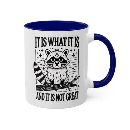 It Is What It Is And It Is Not Great With Adorable Raccoon - 11oz Colorful Mug